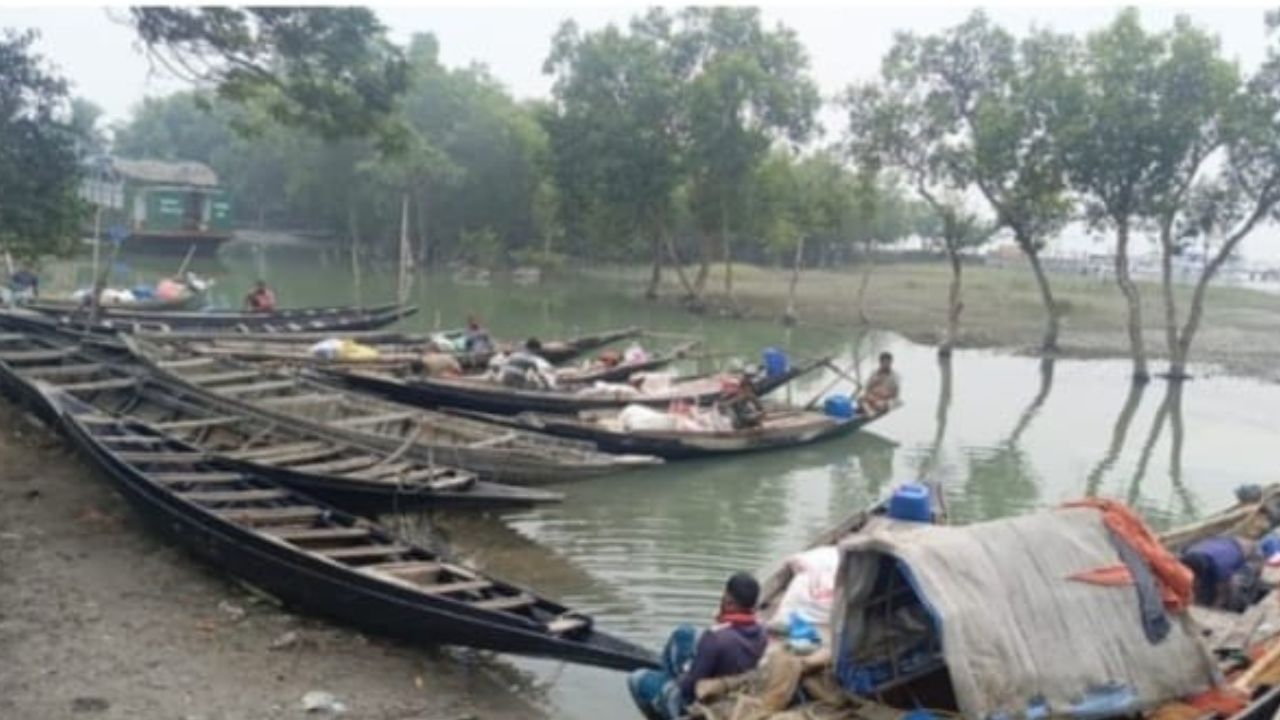 Sundarbans crab harvesting resumes after 2-month ban