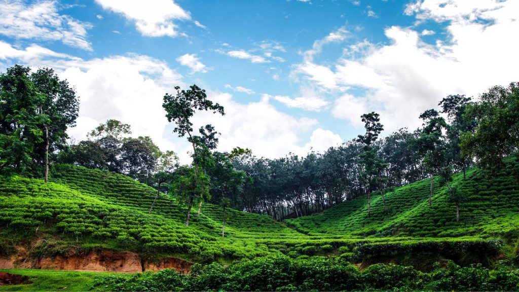 natural escapes Sylhet