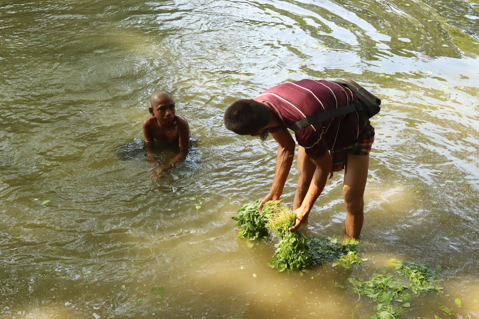 Dhanmondi Lake