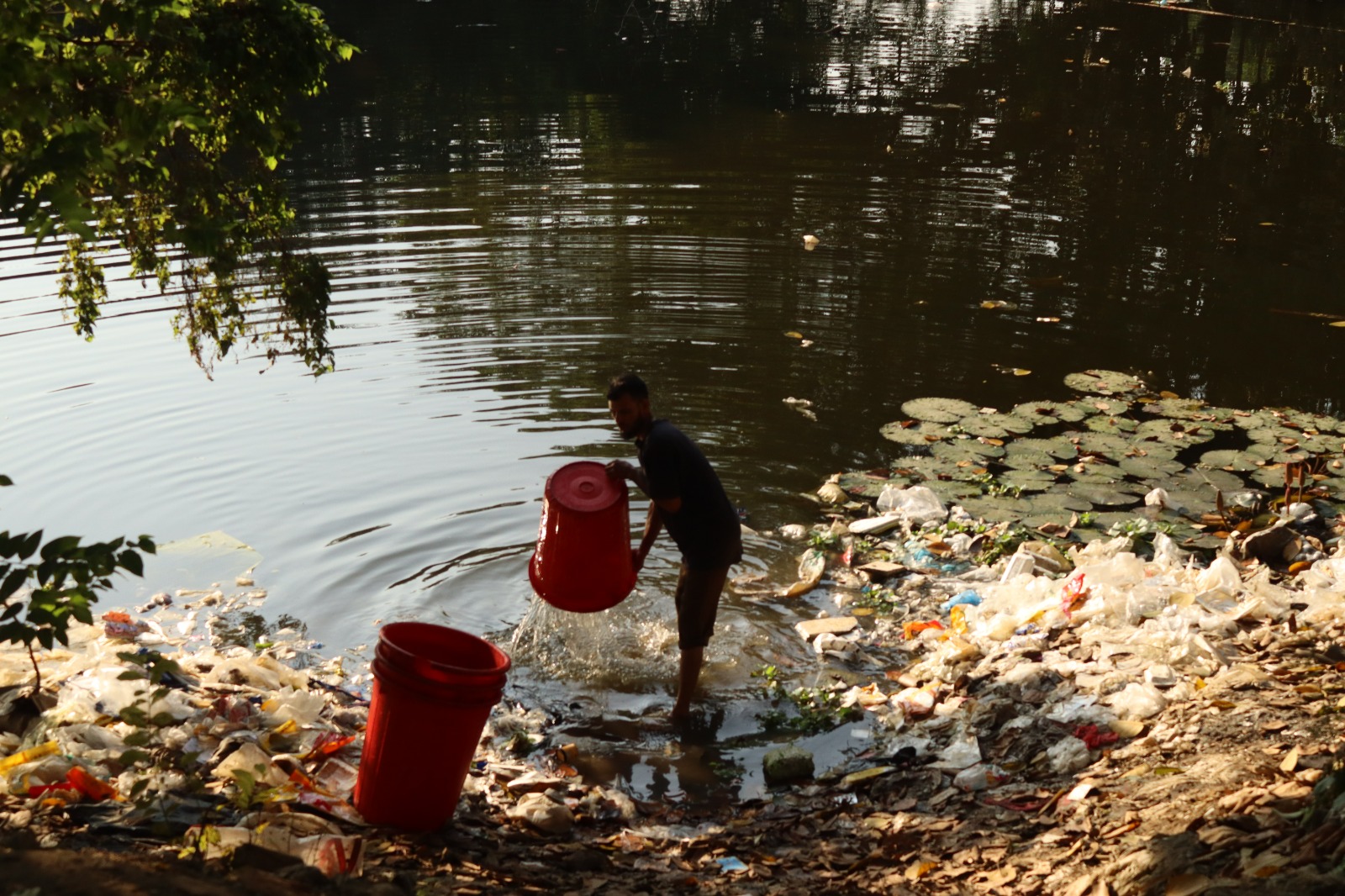 Dhanmondi Lake
