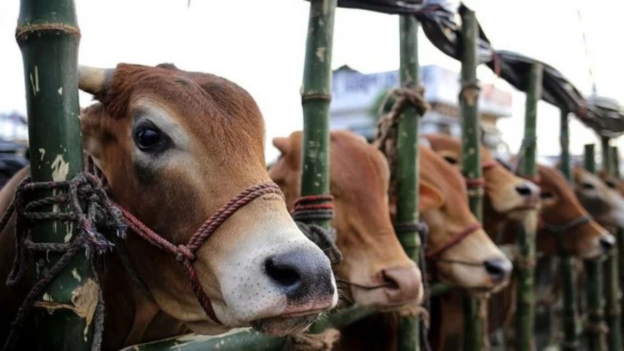 Legal notice served seeking varied beef prices