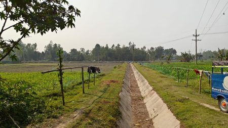 Diesel crisis hits irrigation
