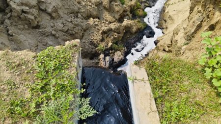 Gorai River
