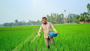 fertiliser price hike