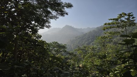 Mirinja Valley