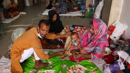 Rising food costs stall measles recovery measles recovery