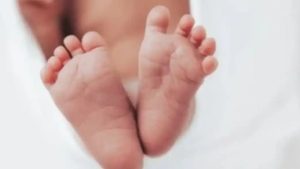 Toddler killed in Begunbari road crash road crash