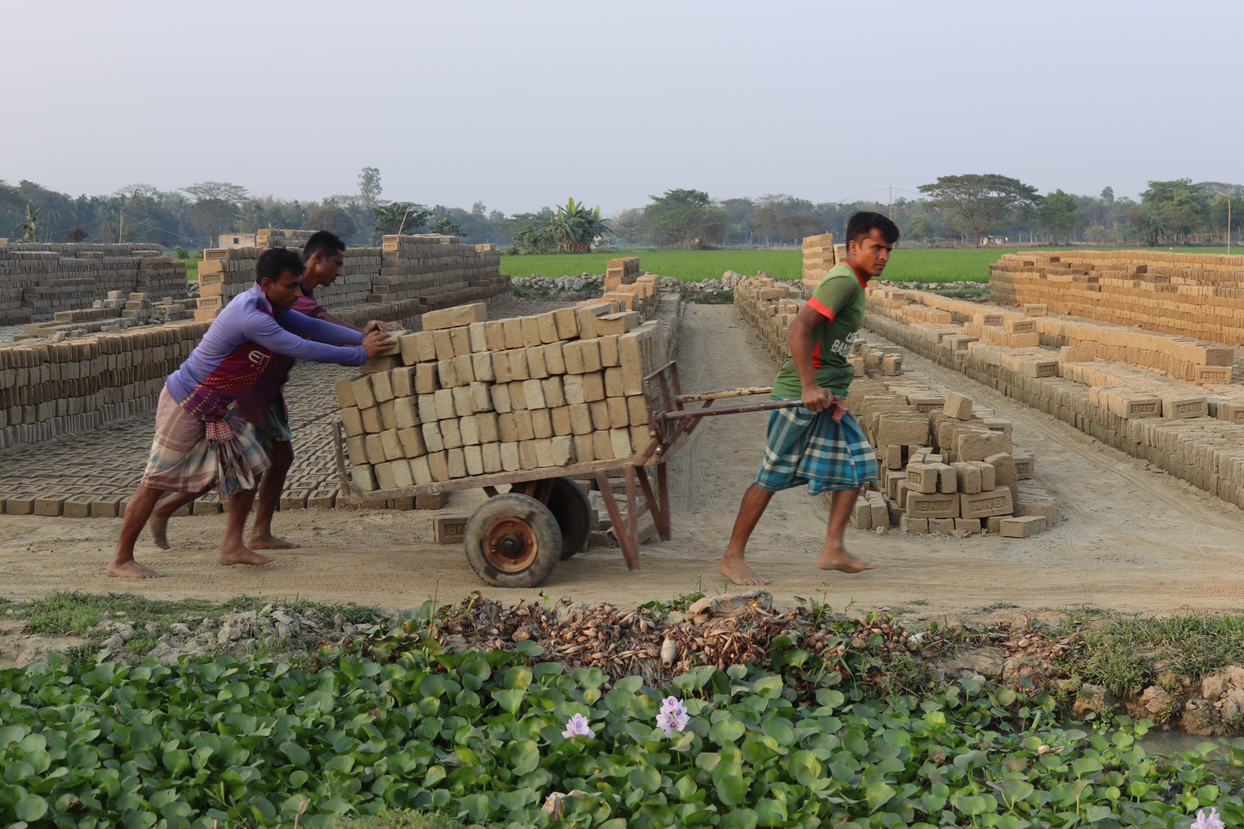 Brick kiln 