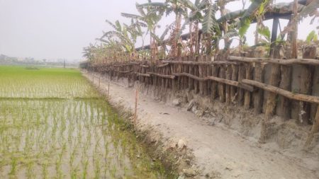 Dhaleshwari encroachment