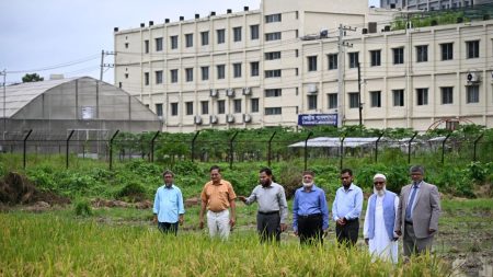 GAU develops fine rice variety ‘GAU Dhan 4’ GAU