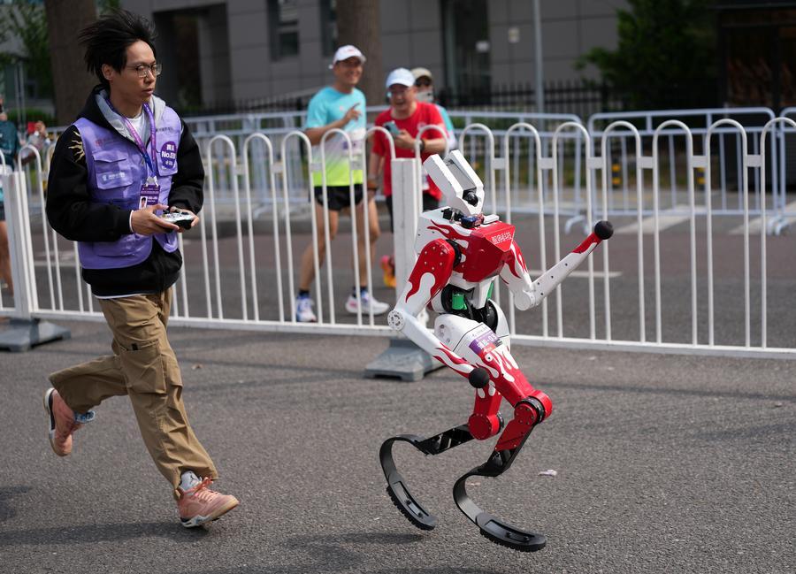 Humanoid Robot