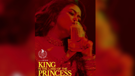 King in the Land of the Princess