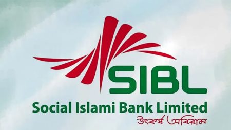 SIBL NPLs surge to 80% as recovery collapses under administrator SIBL