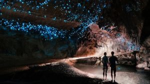 The Waitomo experience/A magical glow worm journey
