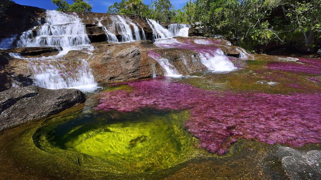 Caño Cristales/The Liquid Rainbow of Colombia