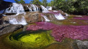 Caño Cristales/The Liquid Rainbow of Colombia