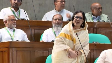 Proposed budget unrealistic: Rumeen Farhana Rumeen Farhana