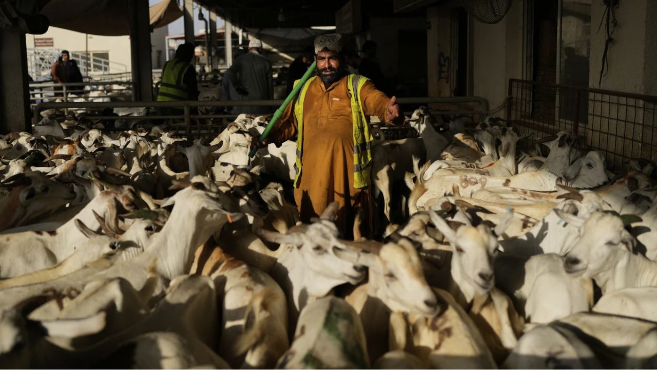 Eid Ul Adha