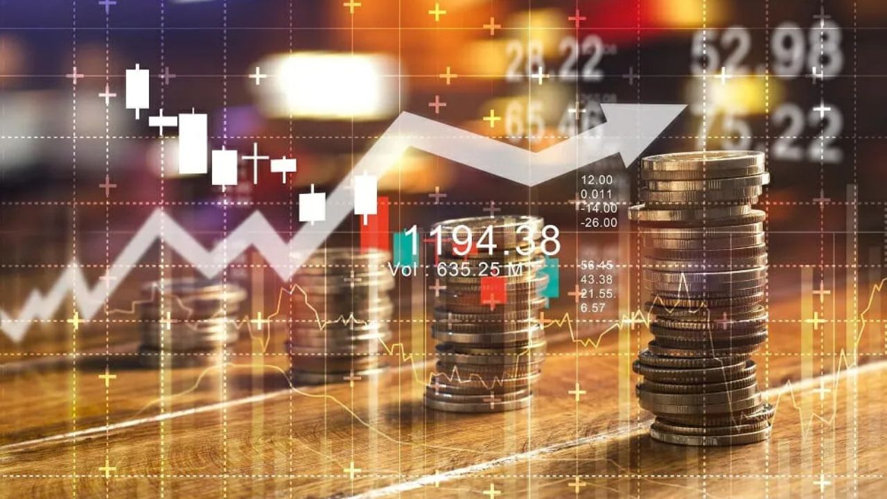 stock investors