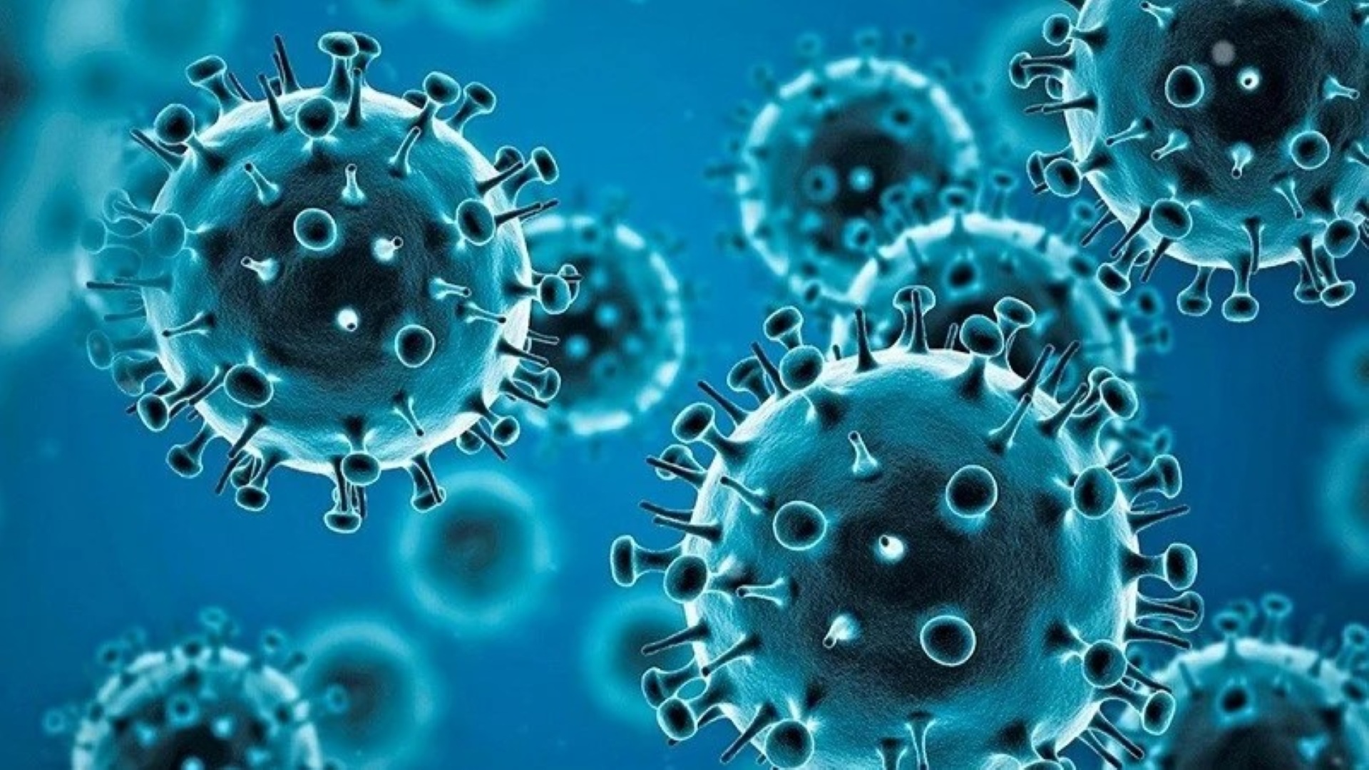 Same virus, new strain Thai Coronavirus