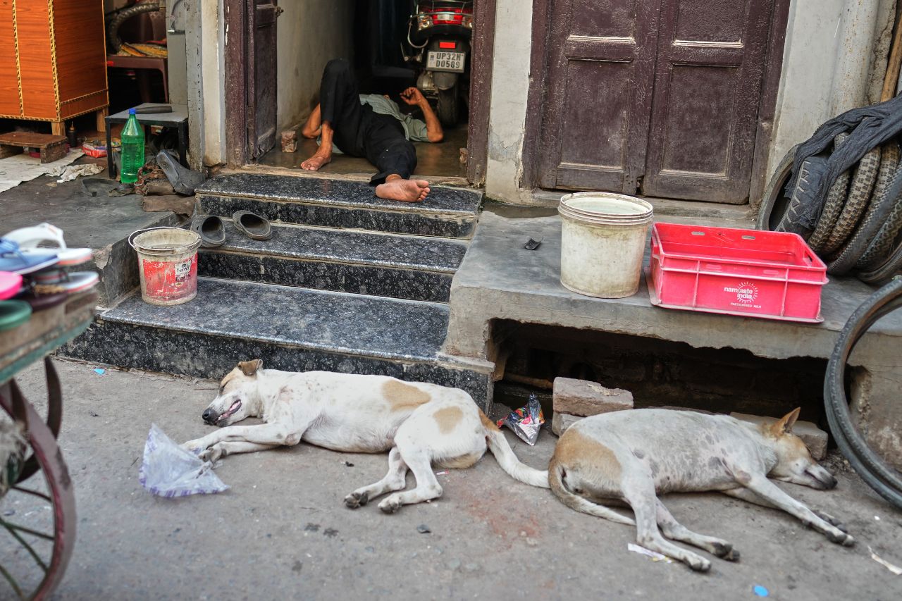 summer south asia