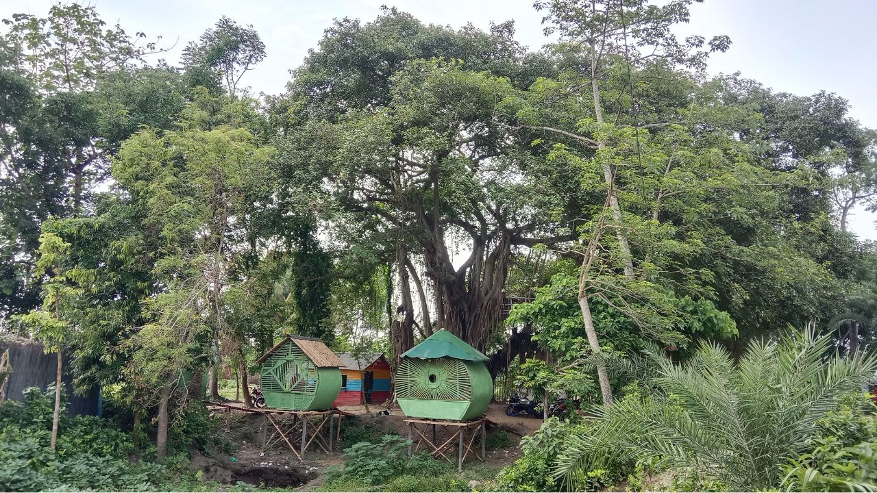banyan tree café