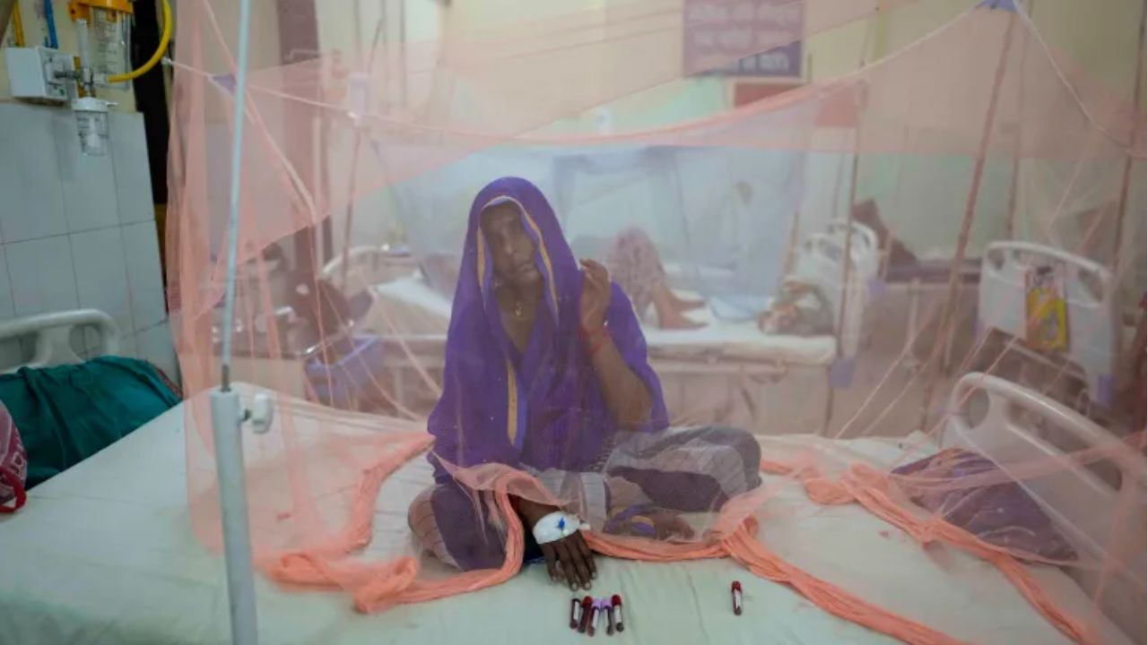 Dengue claims two more lives, 693 hospitalised Dengue