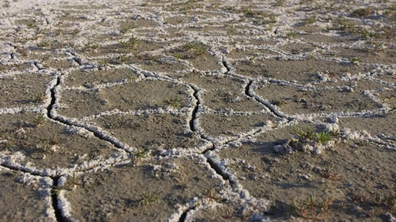 Rising salinity and its hidden impact on coastal women’s fertility