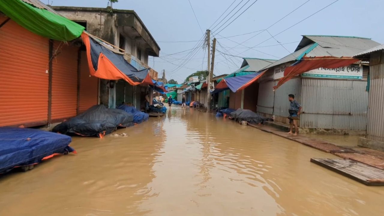 Heavy rain, upstream water submerge Sherpur low-lying areas