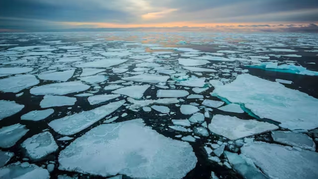 Arctic