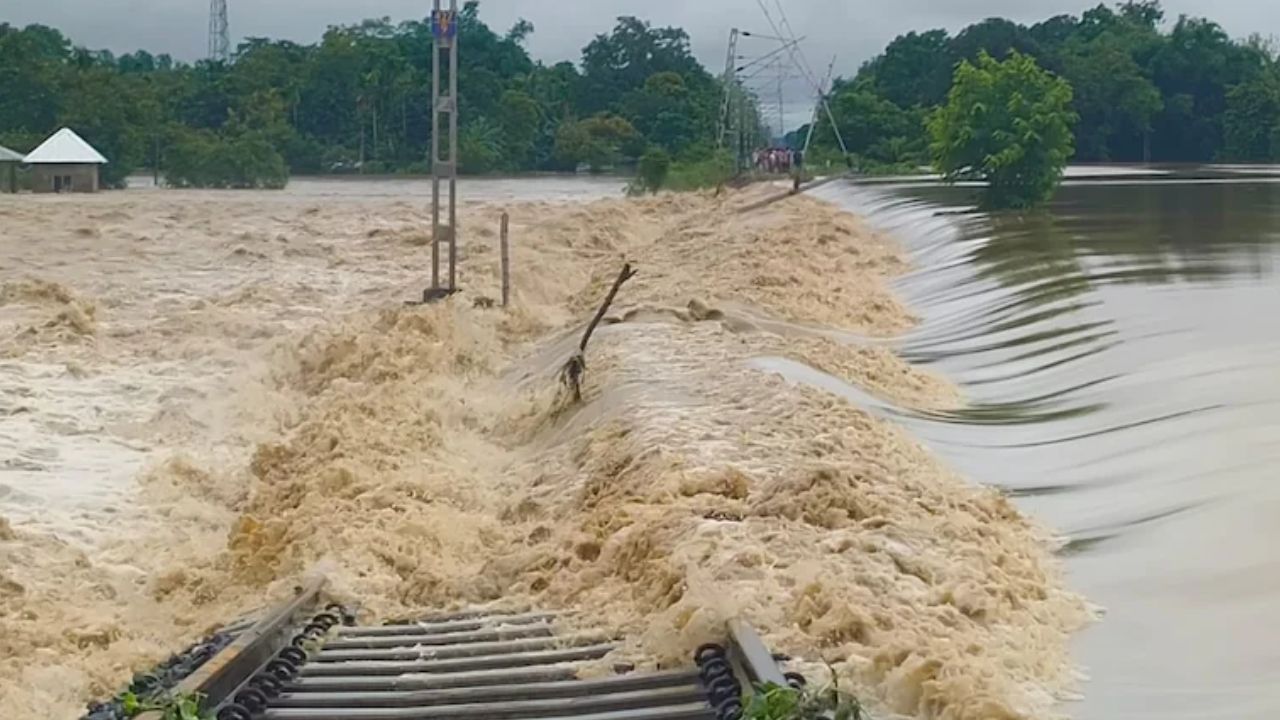 Assam flood death toll hits 31 Assam flood