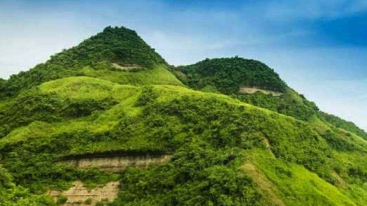 Jungle Salimpur: ‘Poison plot’ triggers sabotage probe Jungle Salimpur