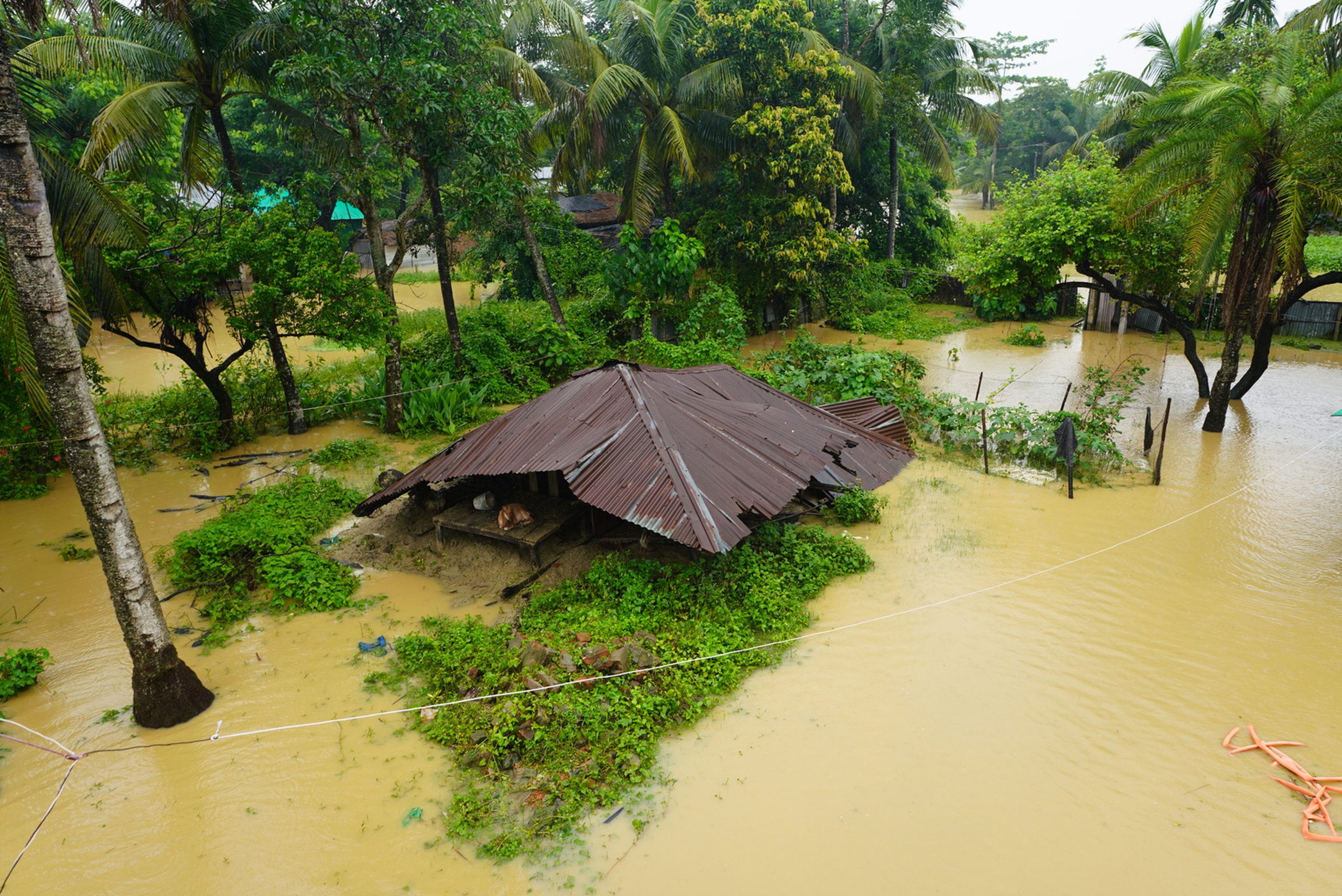 flood victims in Ctg
