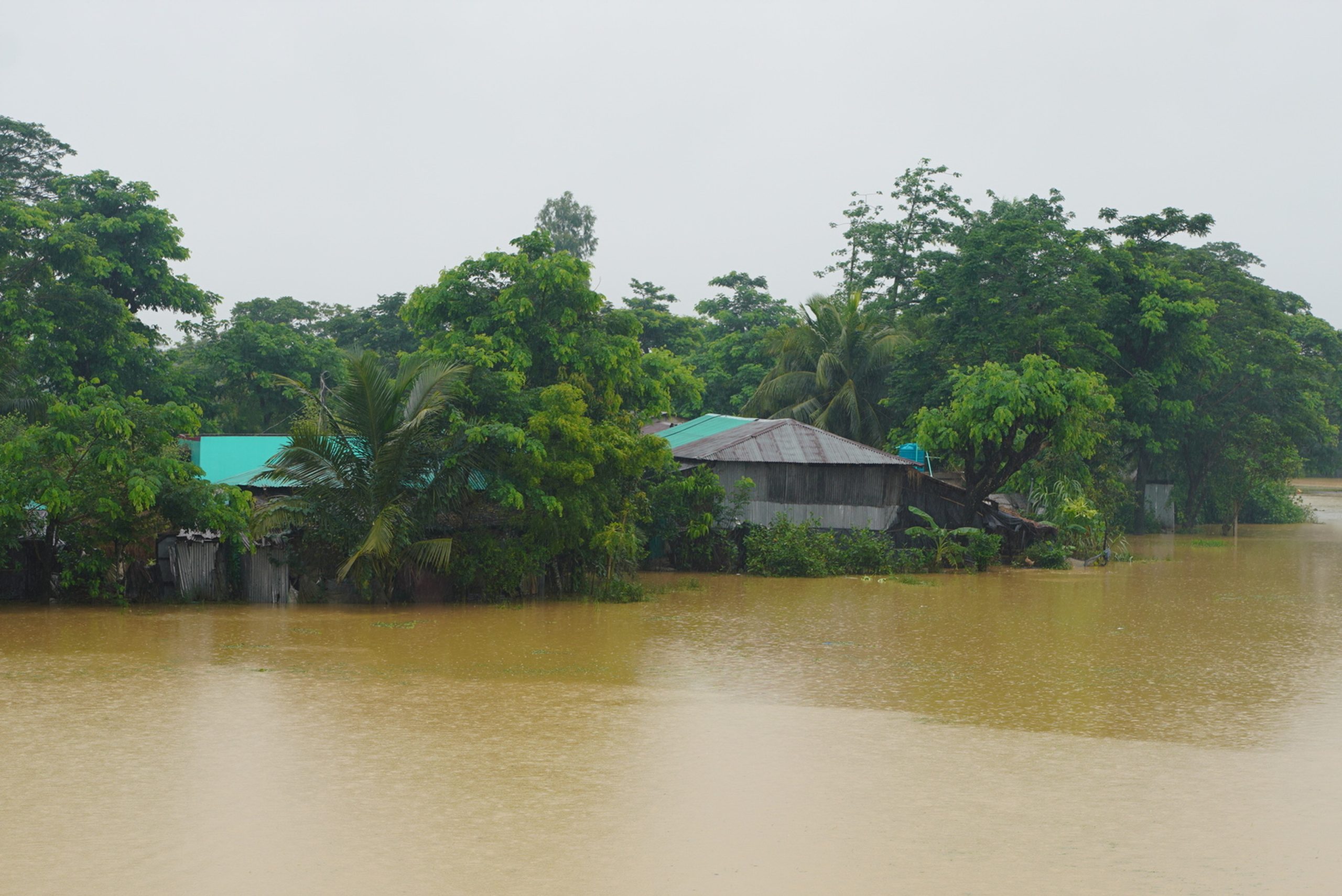 flood victims in Ctg