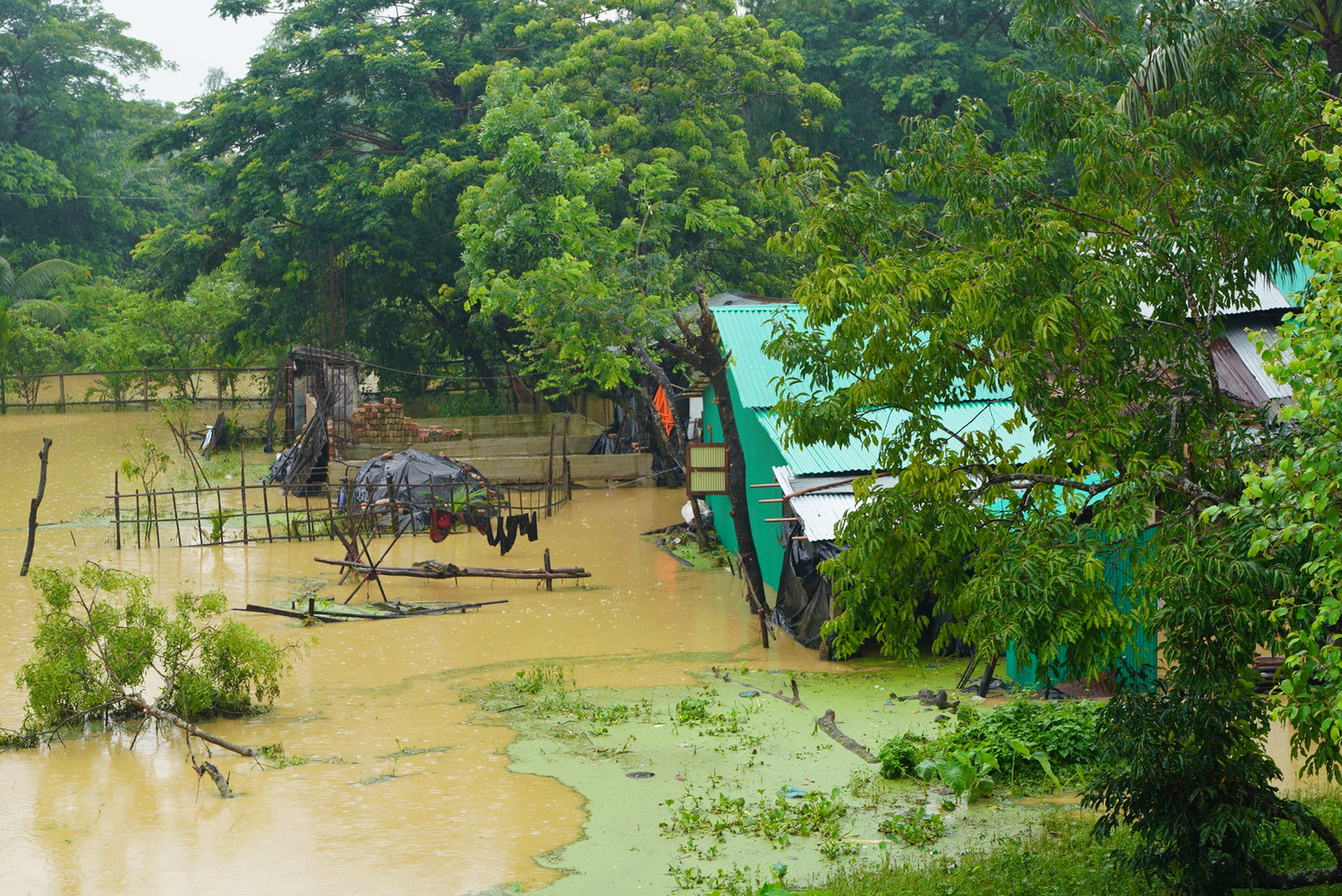 flood victims in Ctg