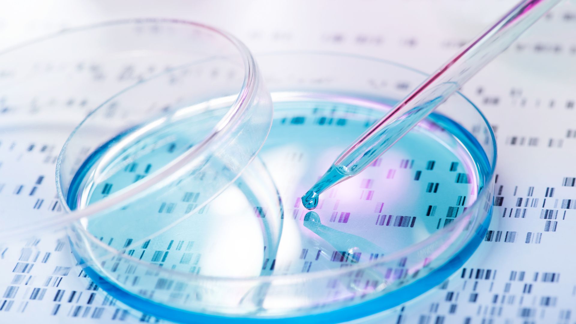 A bold new frontier/NVidia’s dive towards biomedical research Biomedical Research