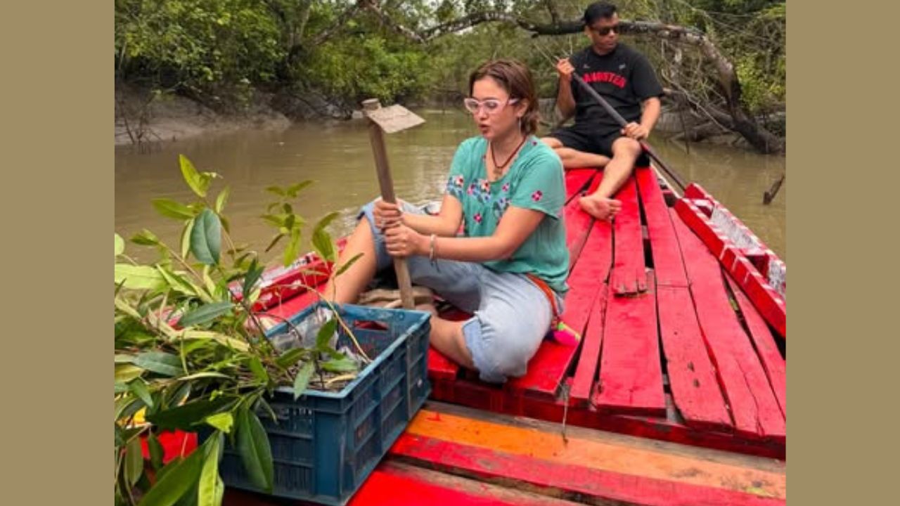 Chamak Sundarbans tree plantation