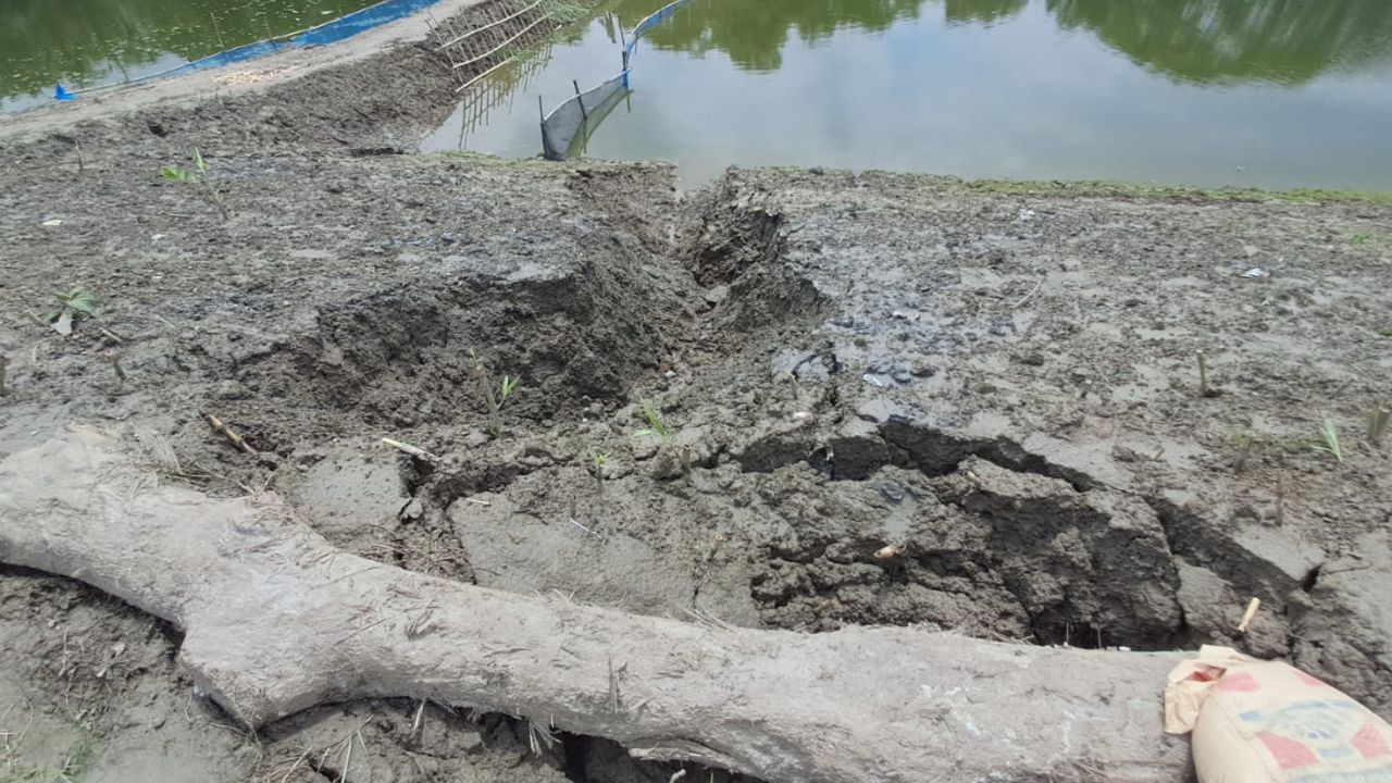 Chandpur embankment repairs