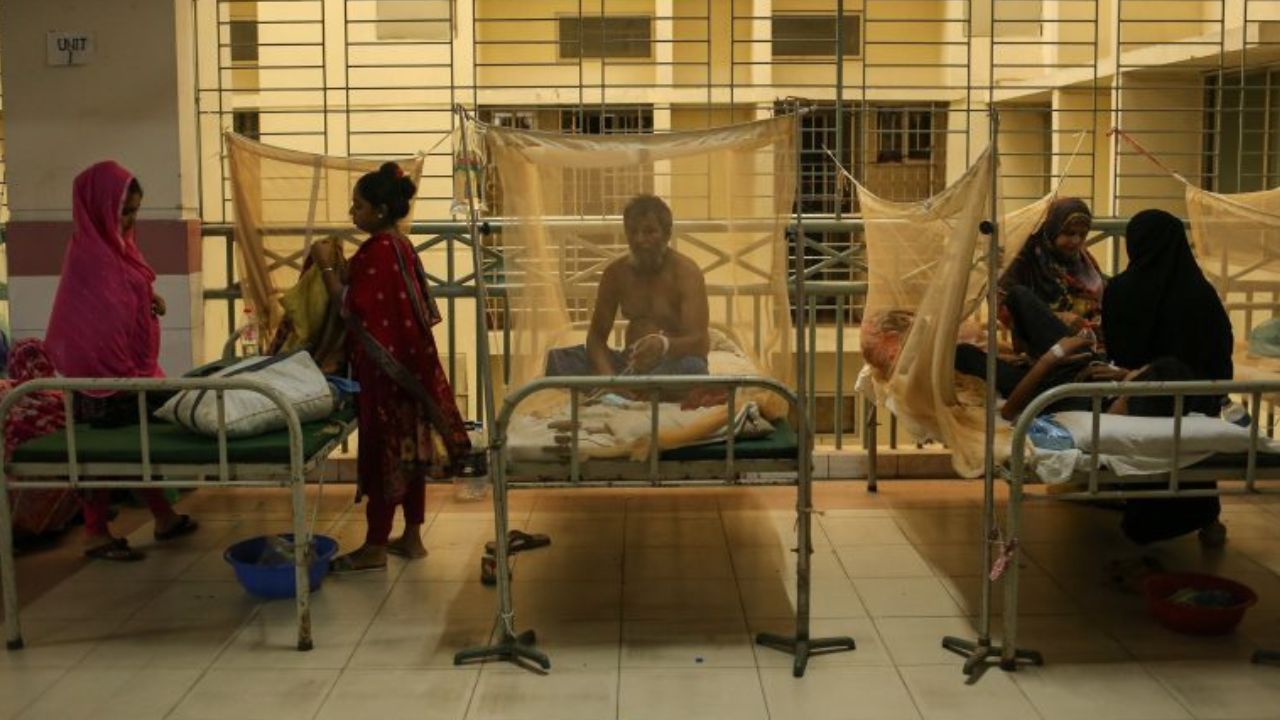 Dengue risk may rise with increased rainfall