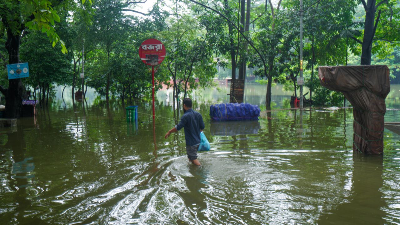 Rain livelihoods