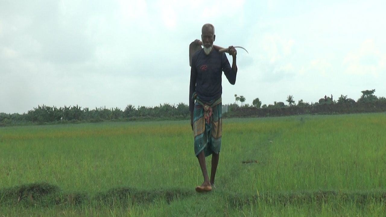 Fish farms turn Jashore’s fertile fields into wasteland