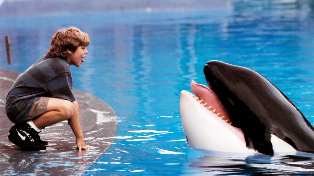 ‘Free Willy’ to return in Warner Bros reboot