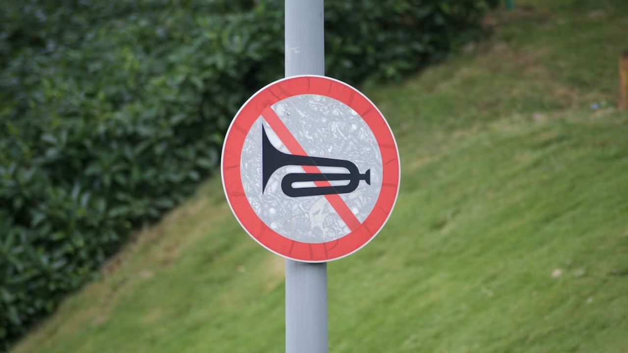 Gazipur bans needless honking in govt vehicles