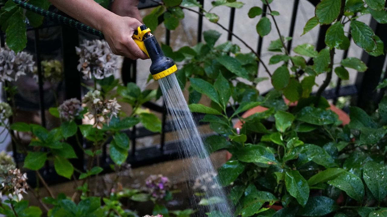 hosepipe bans