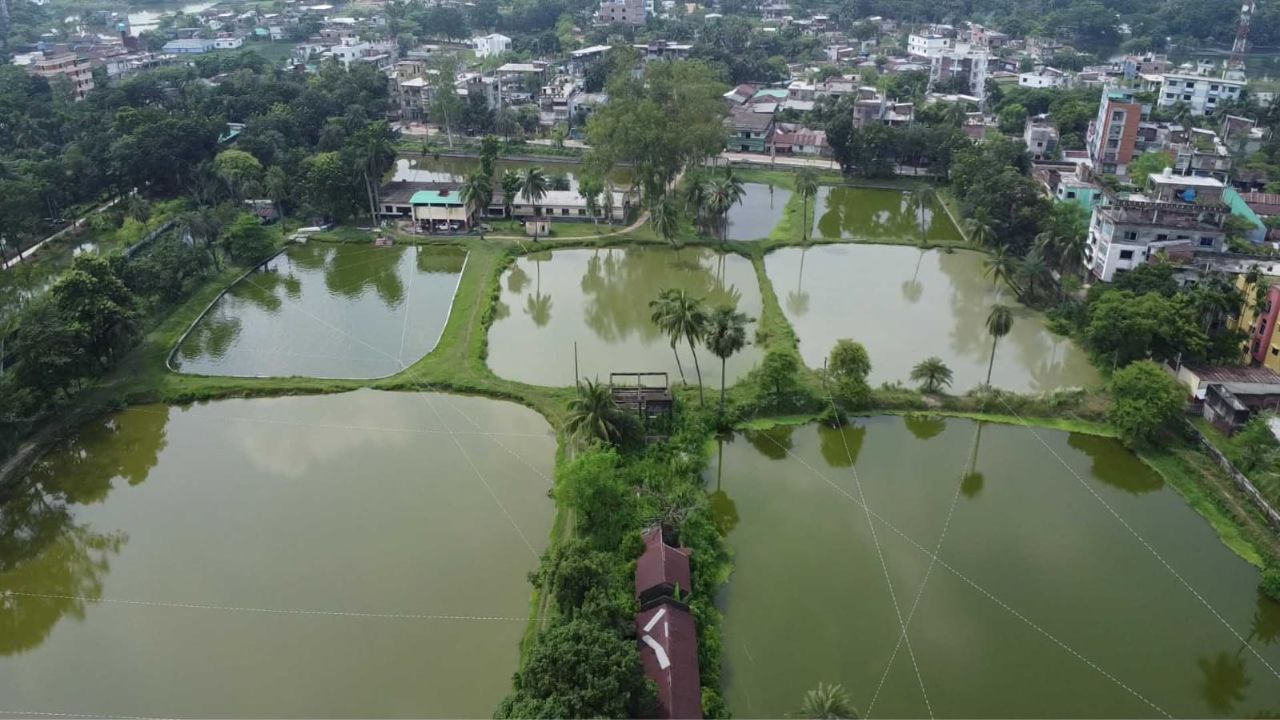 State seed shortfall lifts private spawn demand Naogaon