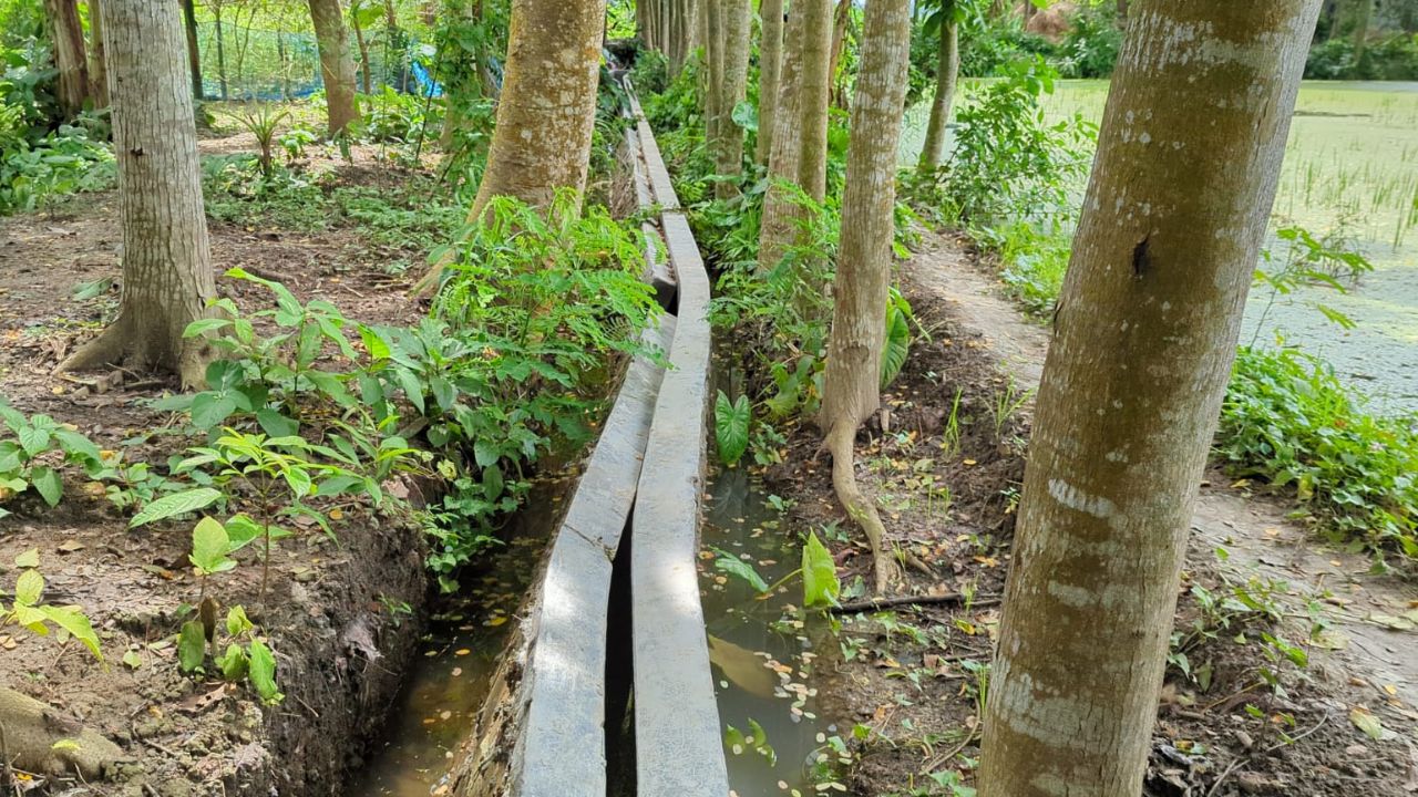 Locals allege corruption as Rajbari drainage fails Rajbari waterlogging