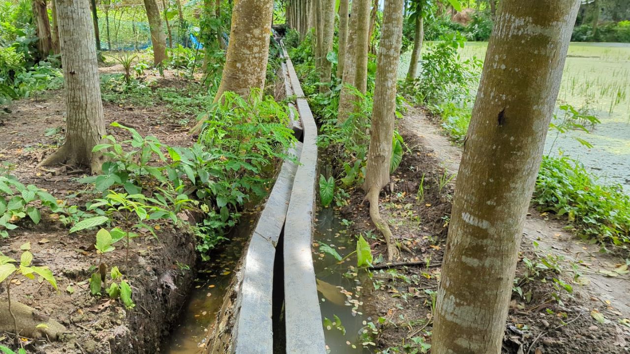 Rajbari drain collapses