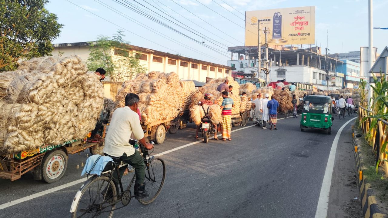 Rajshahi sees renewed interest in ‘golden fibre’
