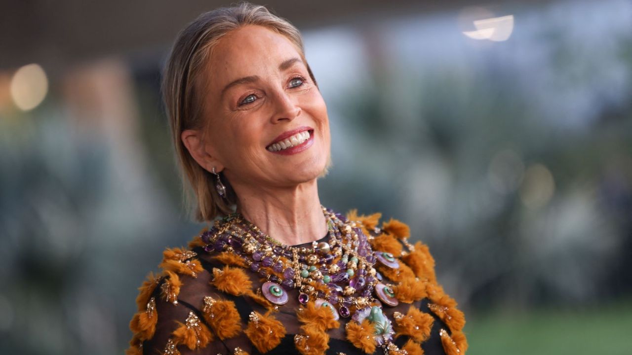 Sharon Stone stroke medication