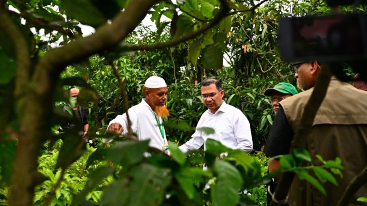 Green Bangladesh